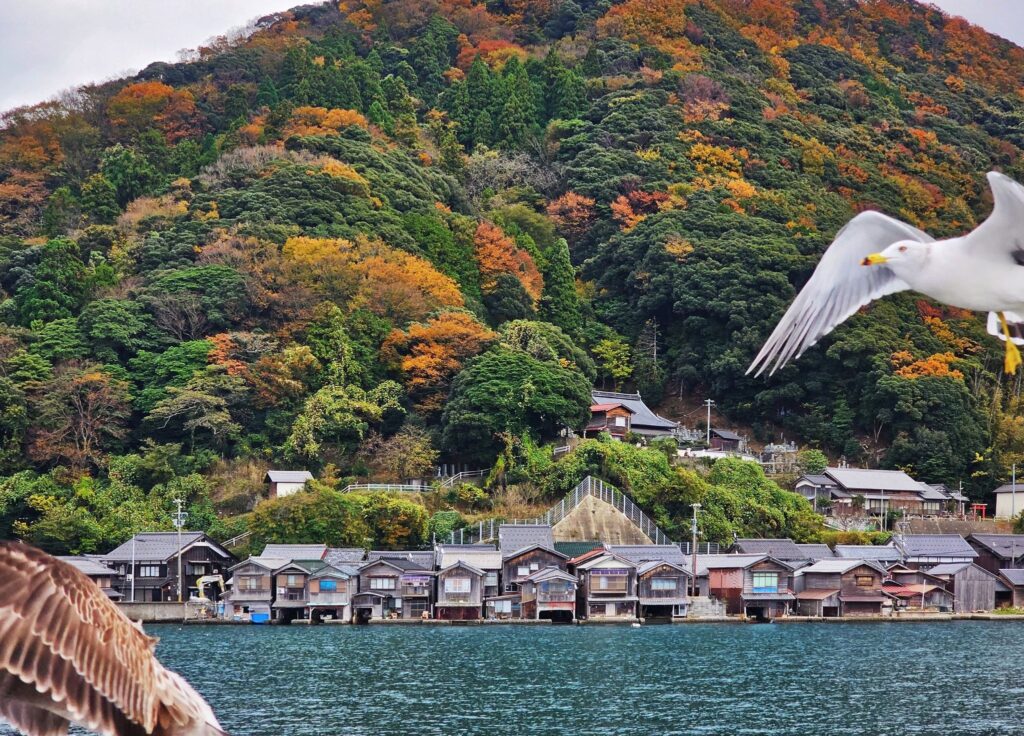 navin page travel Ine and Kayabuki Japan 3