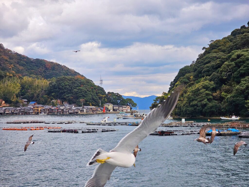 navin page travel Ine and Kayabuki Japan 6