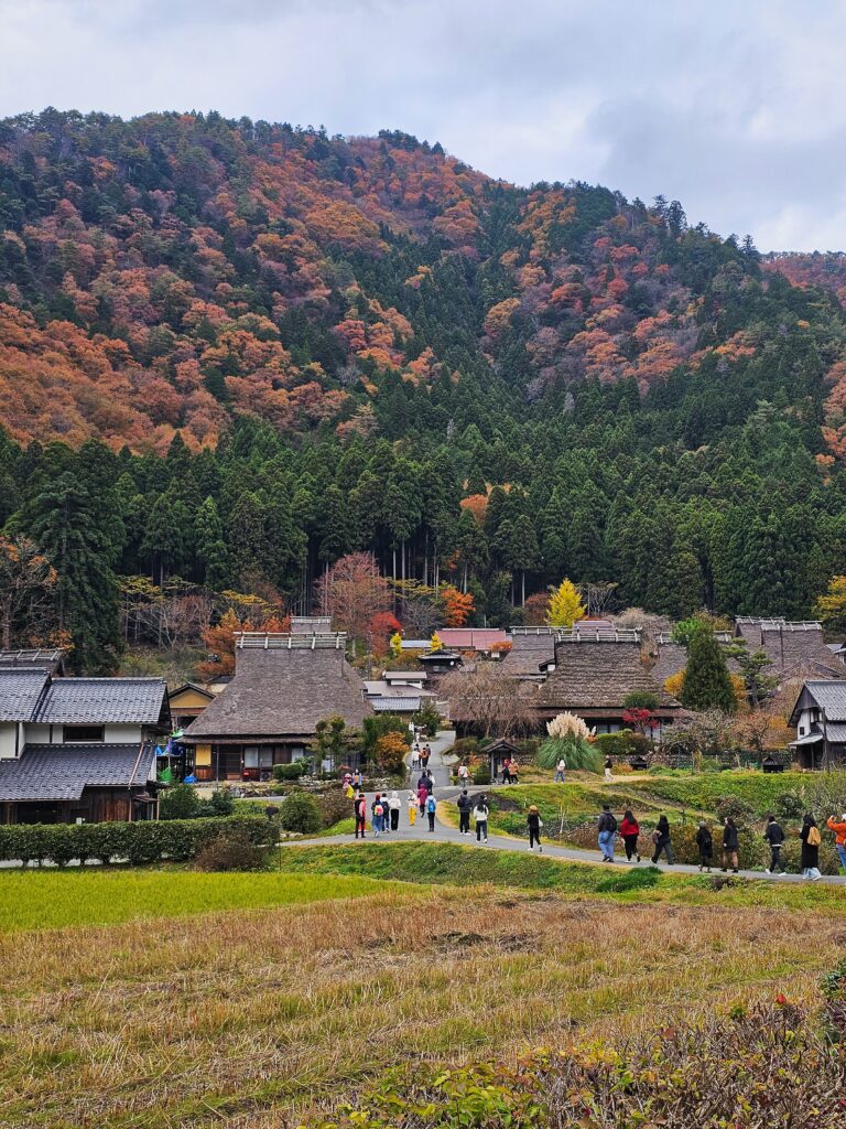 navin page travel Ine and Kayabuki Japan 8